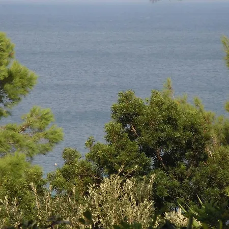 014 I Gerani Villa Procchio (Isola d'Elba)